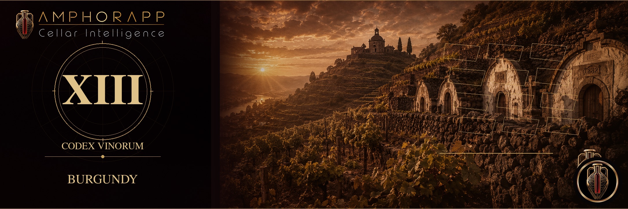 Hiérarchie de Bourgogne : Grand Cru et Premier Cru