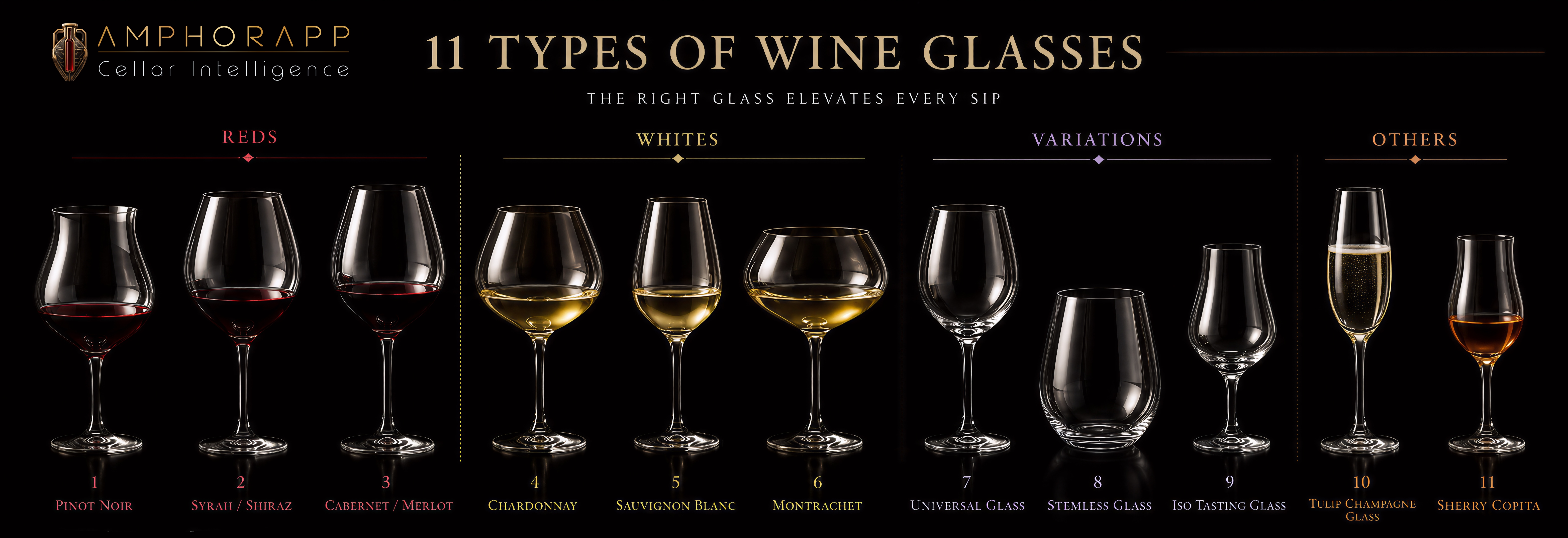 11 types de verres à vin — comment la forme du calice et la longueur du pied orientent l'arôme, la température et l'effervescence